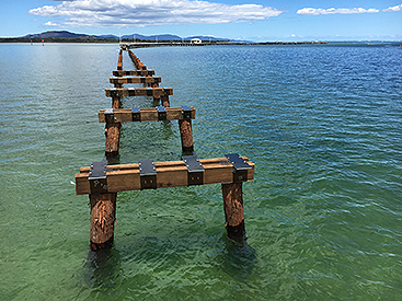 Welshpool Long Jetty piles
