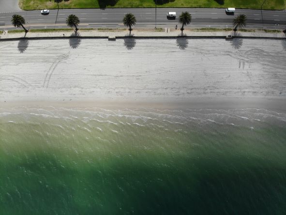 Beach Renourishment