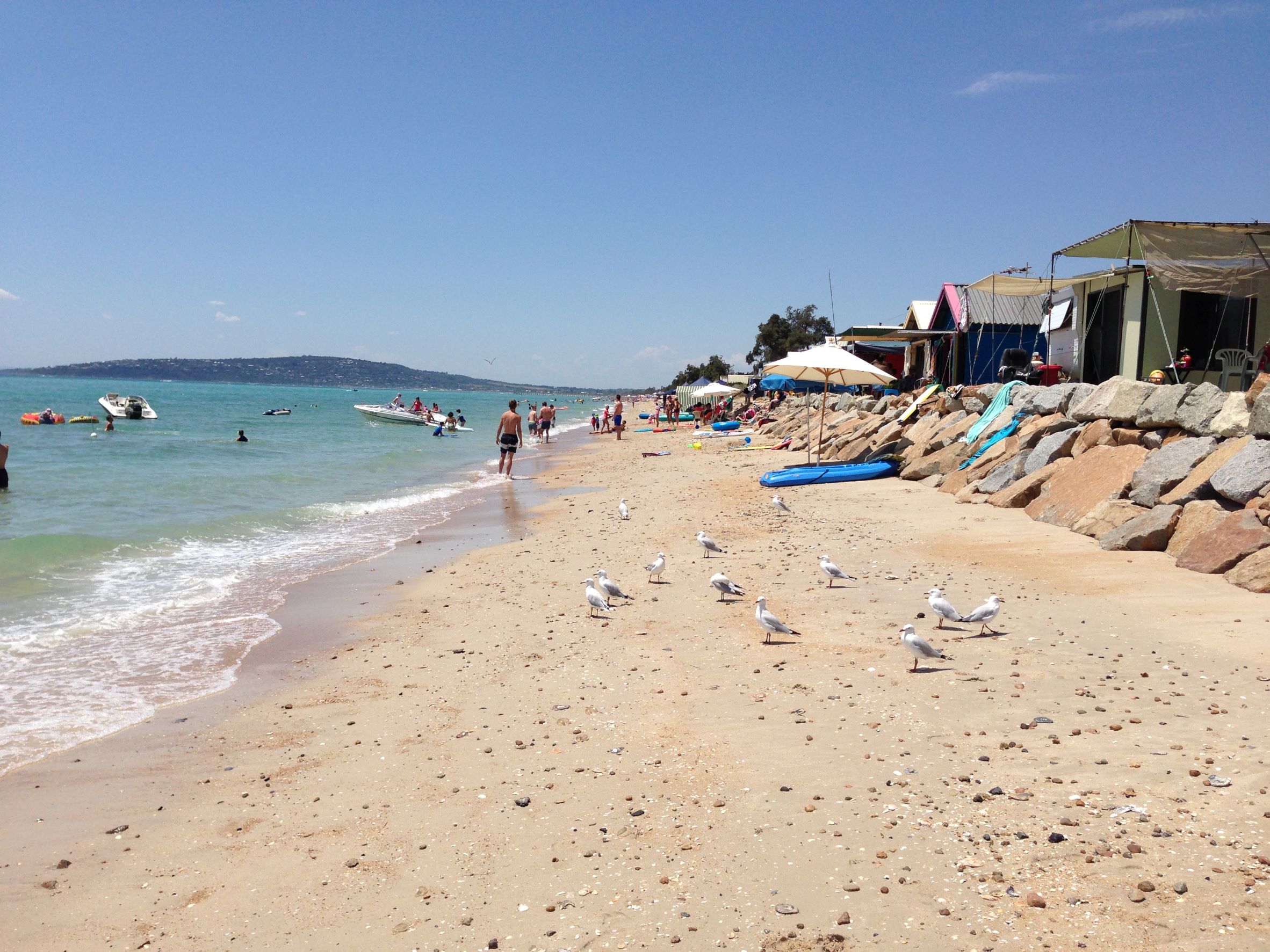 Dromana Beach Renourishment, VIC