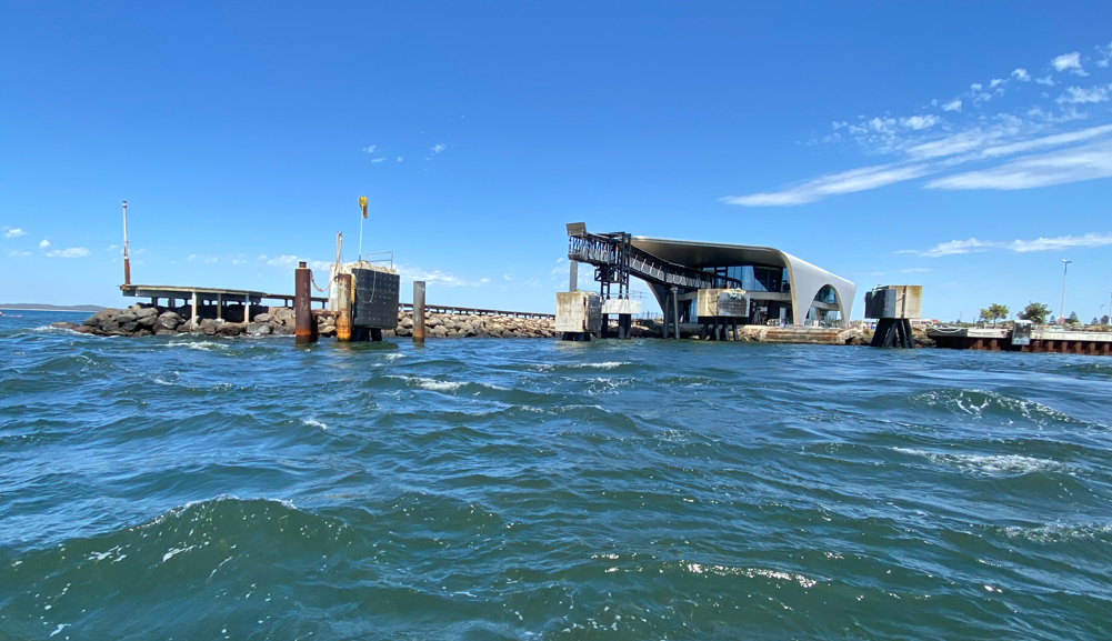Queenscliff Ferry Dolphin, VIC